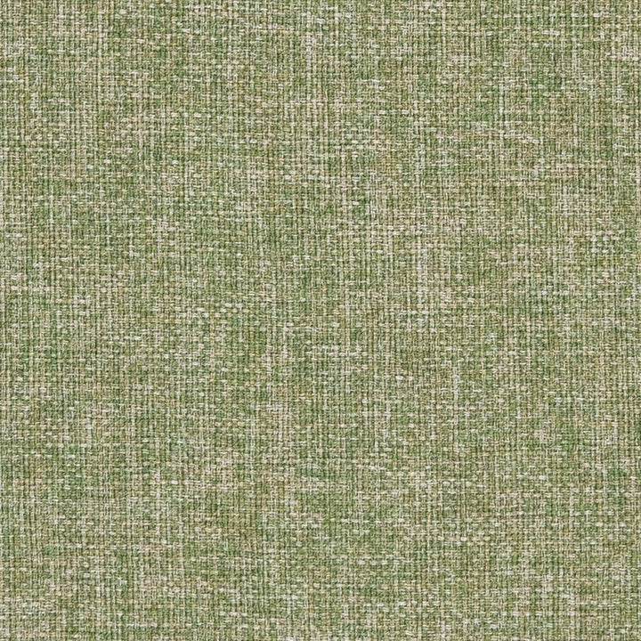 CB700-343 by Charlotte Designer Fabric Shades of Spring 100% Woven Polyester Asia Exceeds 140,000 Wyzenbeek Rubs (Heavy Duty) </p><p>Repeat: No Repeat 54 Inches - Swanky Fabrics -