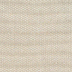 Cb700-34 by Charlotte Fabric
