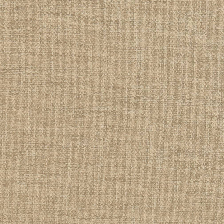 CB700-353 by Charlotte Fabric Shades of Neutral 100% Woven Polyester Asia Exceeds 100,000 Wyzenbeek Rubs (Heavy Duty) </p><p>Repeat: 54 Inches - Fabric Carolina -
