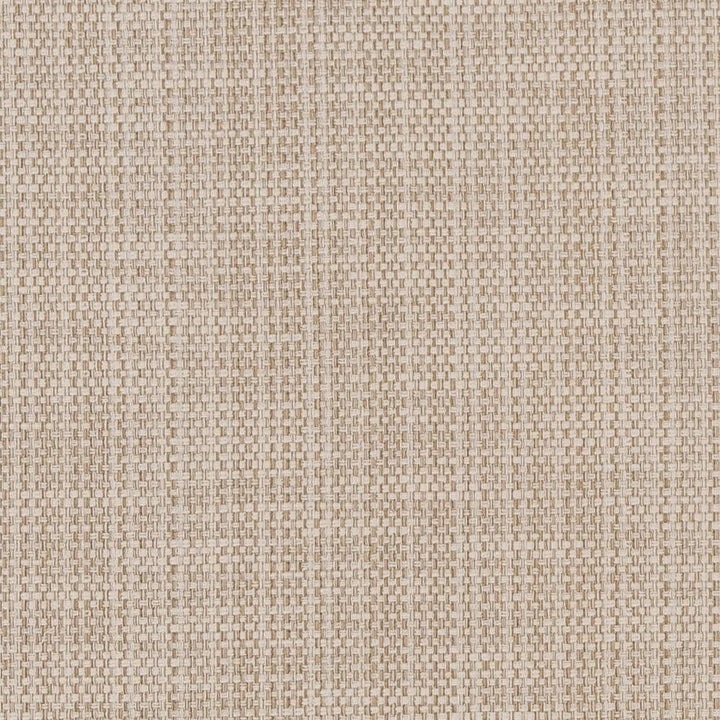 CB700-359 by Charlotte Fabric Shades of Neutral 64% Cotton, 36% Polyester China Exceeds 100,000 Wyzenbeek Rubs (Heavy Duty) No Repeat 54 Inches - Fabric Carolina -