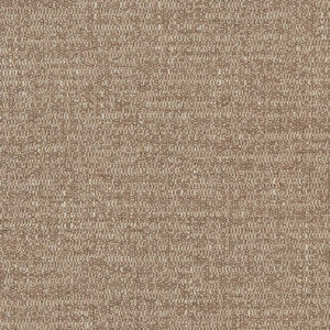 CB700-373 by Charlotte Fabric