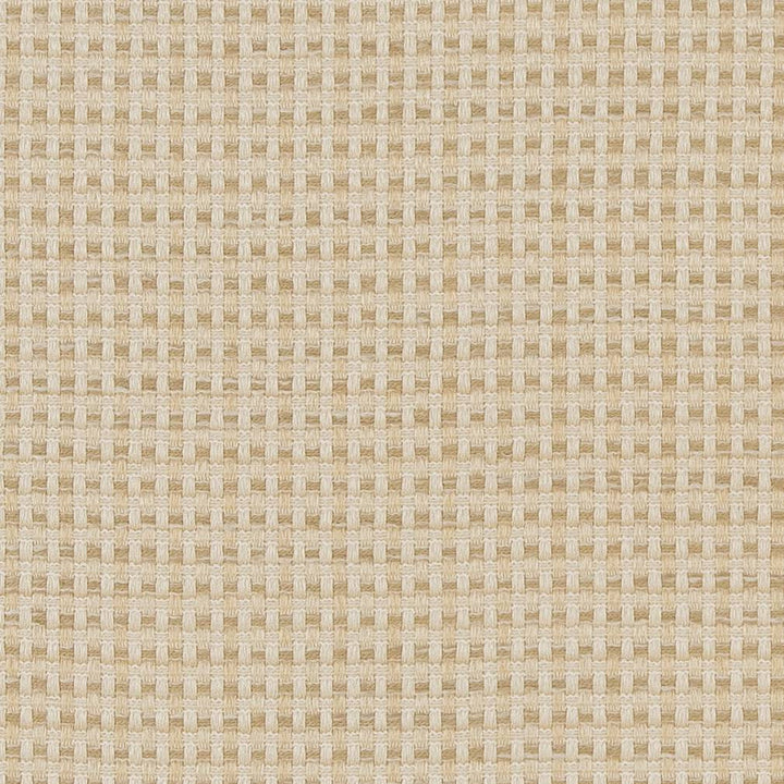CB700-374 by Charlotte Fabric Shades of Neutral 100% Woven Polyester China Exceeds 60,000 Wyzenbeek Rubs (Heavy Duty) No Repeat 54 Inches - Fabric Carolina -