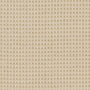 CB700-374 by Charlotte Fabric