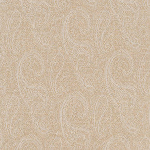 CB700-388 by Charlotte Fabric