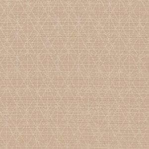 CB700-389 by Charlotte Fabric