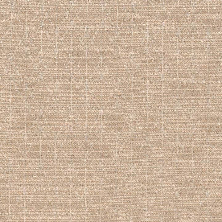 CB700-389 by Charlotte Fabric Shades of Neutral 100% Woven Polyester Asia Exceeds 120,000 Wyzenbeek Rubs (Heavy Duty) </p><p>Repeat: Horizontal: 2.5" x Vertical: 1.25" 54 Inches - Fabric Carolina -