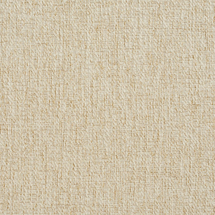 CB700-39 by Charlotte Designer Fabric Ecru 100% Woven Polyester Asia Exceeds 100,000 Wyzenbeek Rubs (Heavy Duty) No Repeat 54 Inches - Swanky Fabrics -