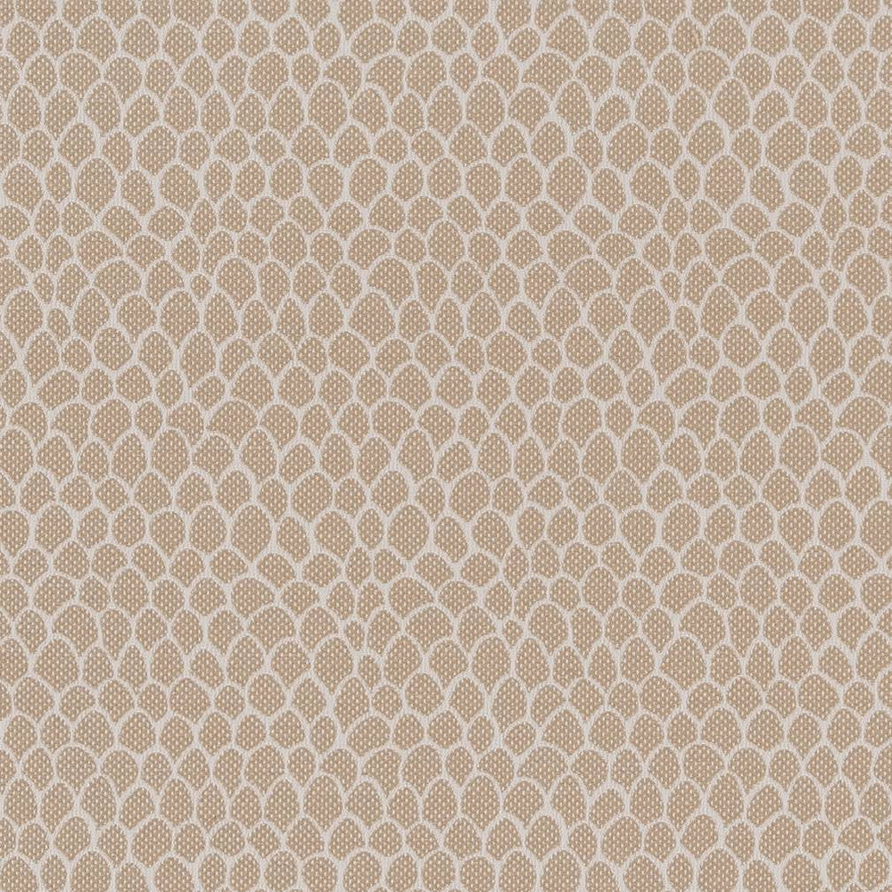 CB700-400 by Charlotte Fabric Shades of Neutral 50% Polyester, 25% Cotton, 25% Acrylic Spain Exceeds 60,000 Wyzenbeek Rubs (Heavy Duty) No Repeat 54 Inches - Fabric Carolina -