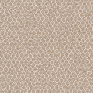 CB700-400 by Charlotte Fabric