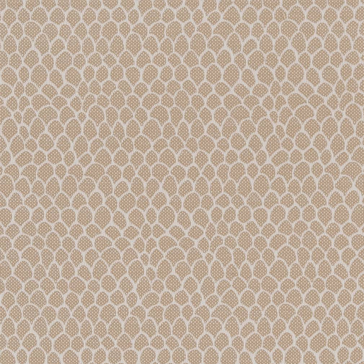 CB700-400 by Charlotte Fabric Shades of Neutral 50% Polyester, 25% Cotton, 25% Acrylic Spain Exceeds 60,000 Wyzenbeek Rubs (Heavy Duty) </p><p>Repeat: No Repeat 54 Inches - Fabric Carolina -