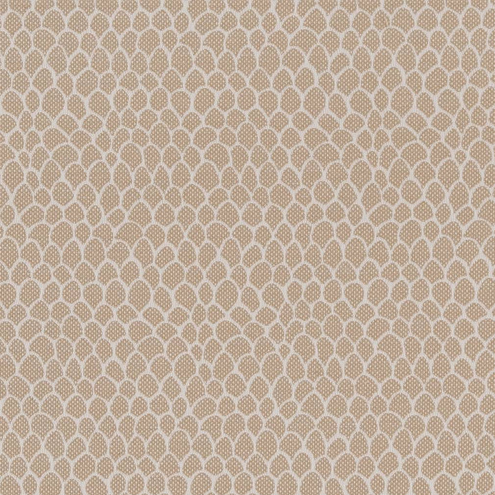 CB700-400 by Charlotte Designer Fabric Shades of Neutral 50% Polyester, 25% Cotton, 25% Acrylic Spain Exceeds 60,000 Wyzenbeek Rubs (Heavy Duty) No Repeat 54 Inches - Swanky Fabrics -