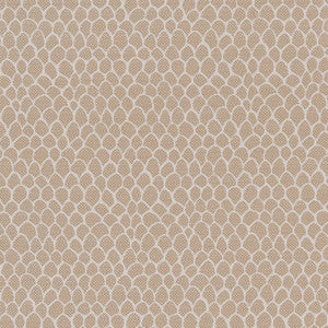 CB700-400 by Charlotte Fabric