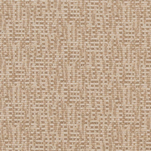 CB700-404 by Charlotte Fabric