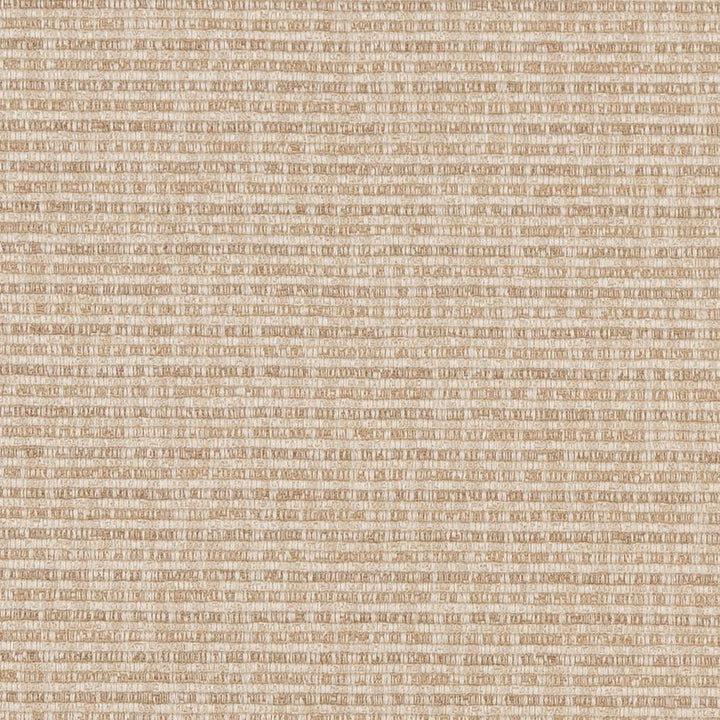 CB700-405 by Charlotte Fabric Shades of Neutral 100% Woven Polyester China Exceeds 50,000 Wyzenbeek Rubs (Heavy Duty) No Repeat 54 Inches - Fabric Carolina -