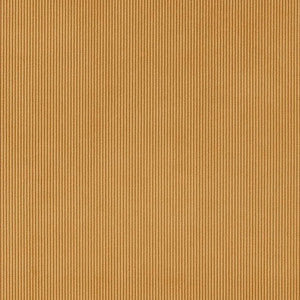 CB700-436 by Charlotte Fabric