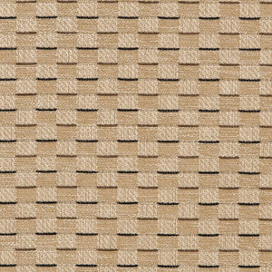 CB700-455 by Charlotte Fabric