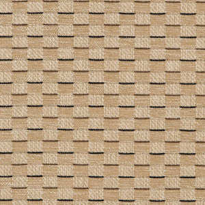 CB700-455 by Charlotte Fabric