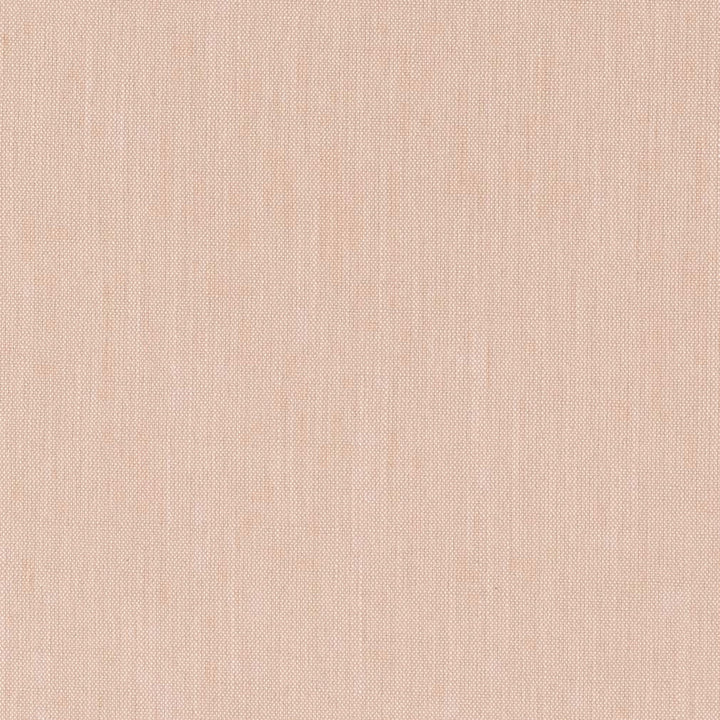 CB700-459 by Charlotte Fabric Shades of Adobe 100% Polyester India Exceeds 100,000 Wyzenbeek Rubs </p><p>Repeat: 54 Inches - Fabric Carolina -