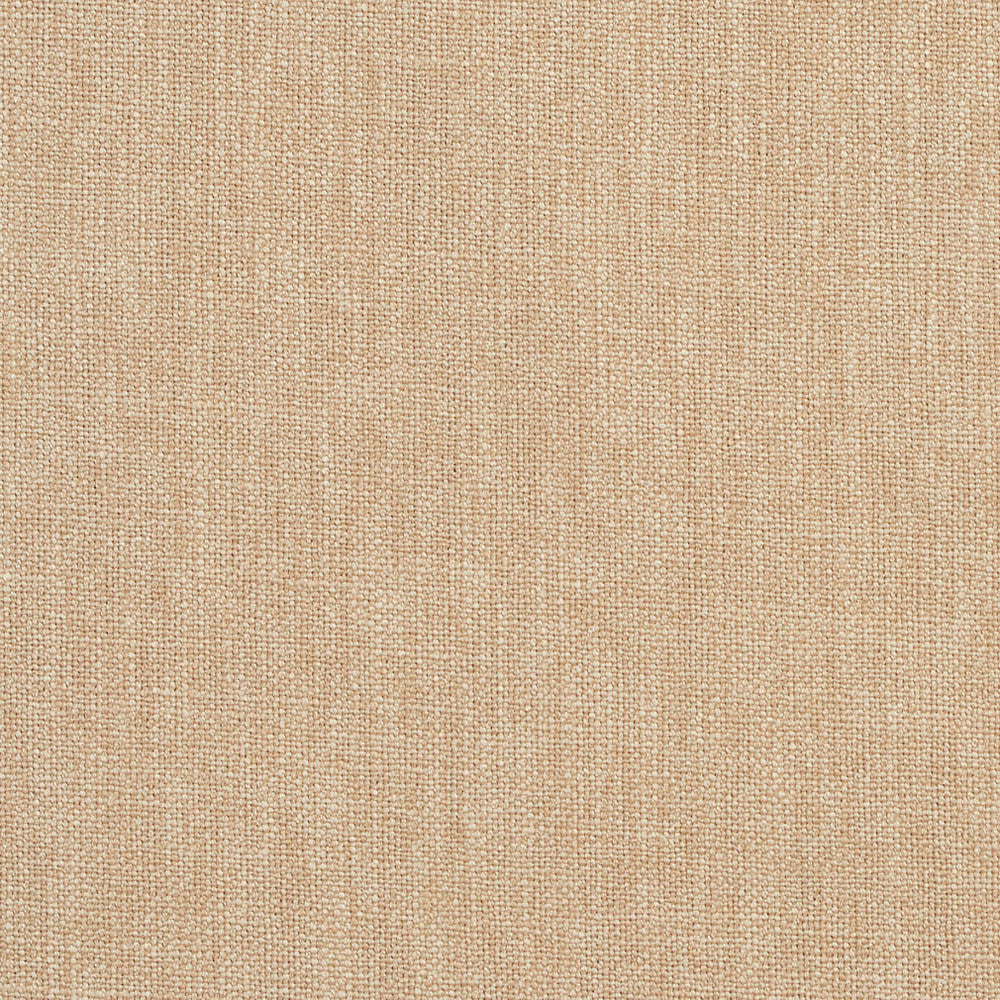 CB700-45 by Charlotte Fabric Natural 80% Polyester, 20% Rayon Asia Exceeds 120,000 Wyzenbeek Rubs (Heavy Duty) No Repeat 54 Inches - Fabric Carolina -