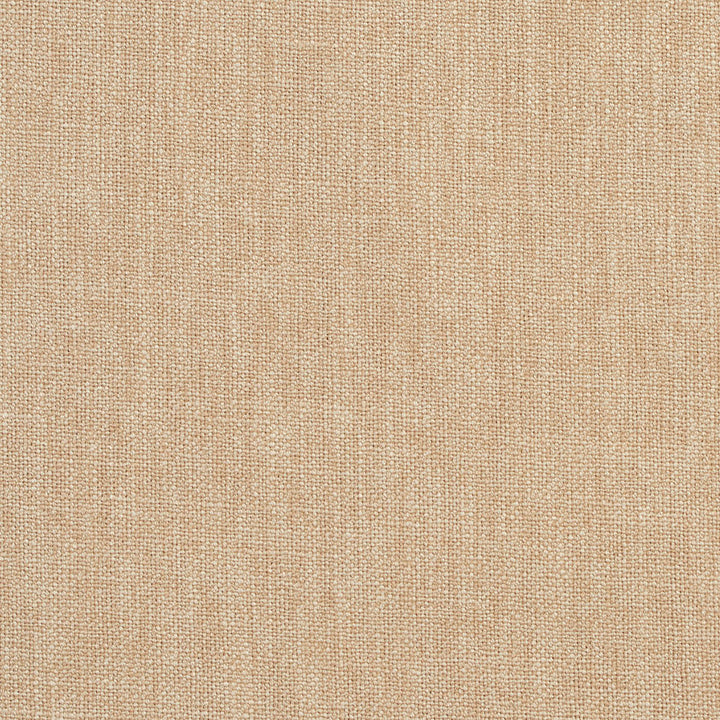CB700-45 by Charlotte Fabric Natural 80% Polyester, 20% Rayon Asia Exceeds 120,000 Wyzenbeek Rubs (Heavy Duty) No Repeat 54 Inches - Fabric Carolina -