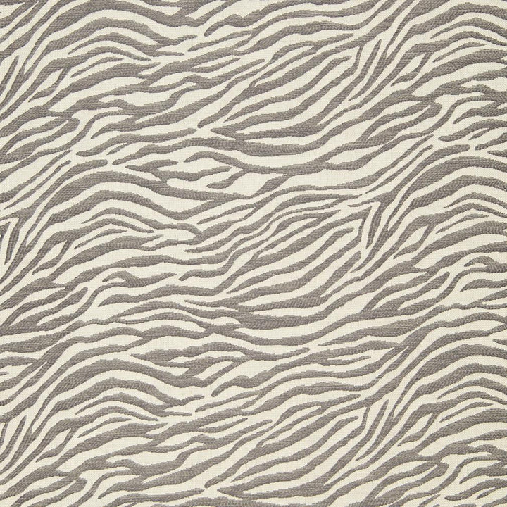 CB700-46 by Charlotte Fabric Grey 75% Rayon, 25% Polyester Asia Exceeds 70,000 Wyzenbeek Rubs (Heavy Duty) Random 54 Inches - Fabric Carolina -