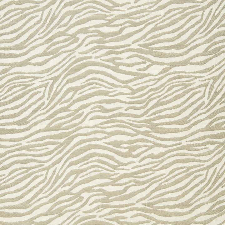 CB700-47 by Charlotte Fabric Taupe 75% Rayon, 25% Polyester Asia Exceeds 70,000 Wyzenbeek Rubs (Heavy Duty) Random 54 Inches - Fabric Carolina -