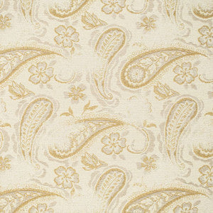 CB700-572 by Charlotte Fabric