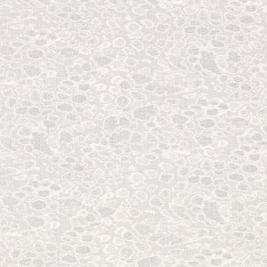 CB700-586 by Charlotte Fabric