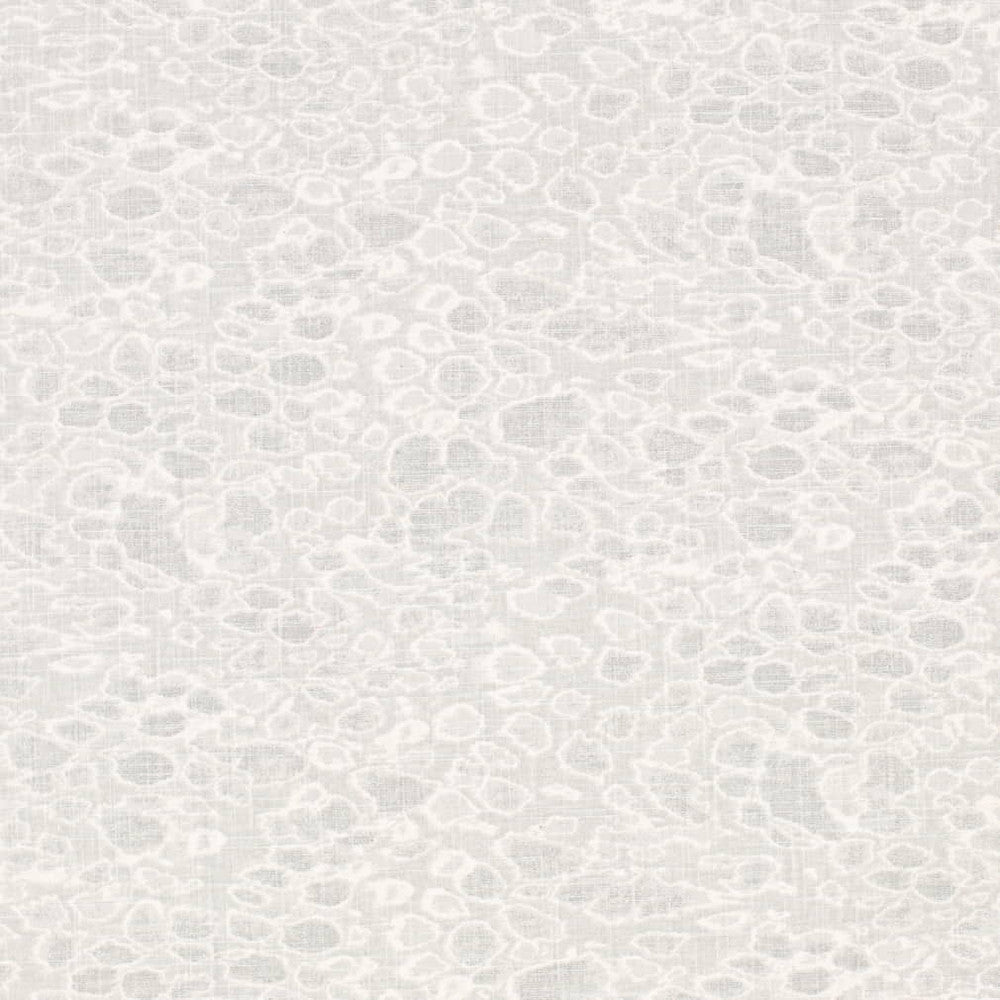 CB700-586 by Charlotte Fabric
