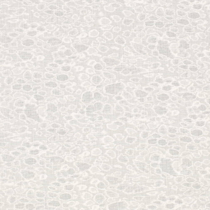 CB700-586 by Charlotte Fabric