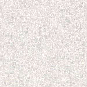 CB700-586 by Charlotte Fabric