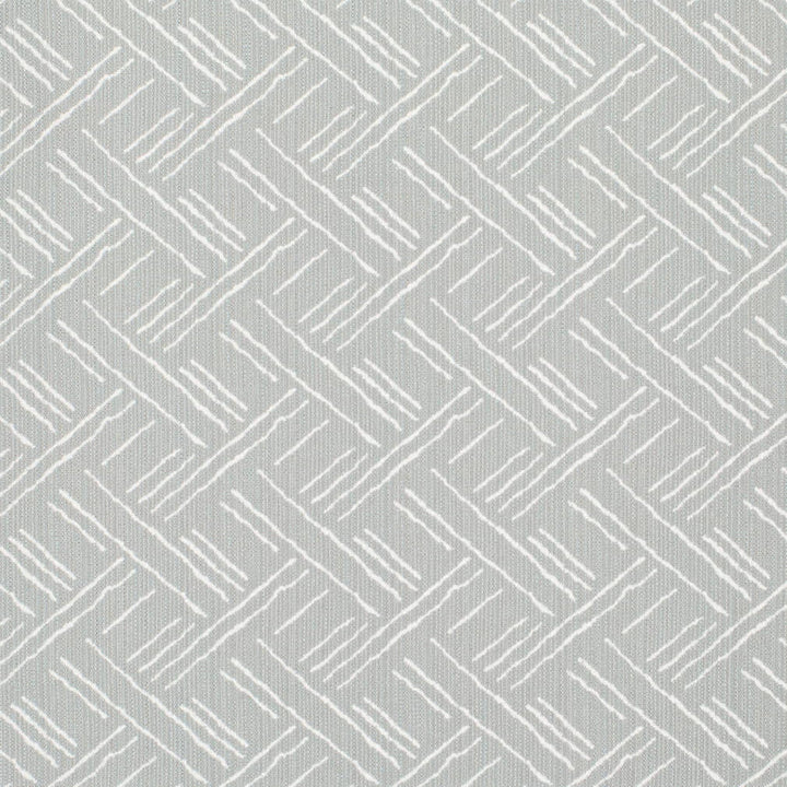 CB700-591 by Charlotte Fabric