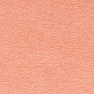 CB700-611 by Charlotte Fabric