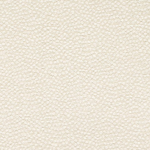 CB700-612 by Charlotte Fabric