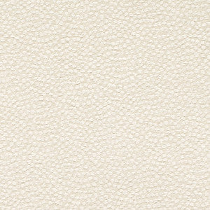 CB700-612 by Charlotte Fabric