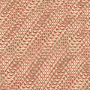 CB700-613 by Charlotte Fabric