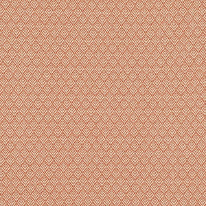 CB700-613 by Charlotte Fabric