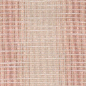 CB700-619 by Charlotte Fabric