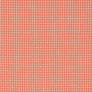 CB700-623 by Charlotte Fabric