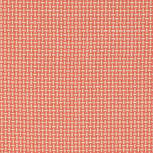 CB700-623 by Charlotte Fabric