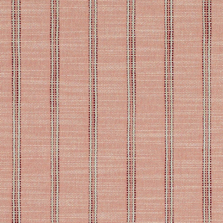 CB700-627 by Charlotte Fabric Shades of Wild Rose 40% Recycled Polyester, 44% Rayon, 16% Polyester USA Exceeds 100,000 Wyzenbeek Rubs (Heavy Duty) Horizontal 2" 54 Inches - Fabric Carolina -