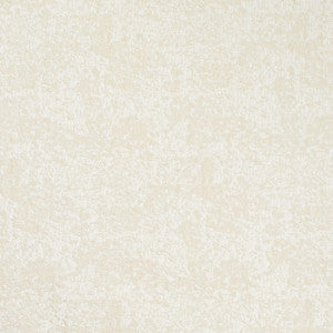 CB700-636 by Charlotte Fabric