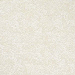 CB700-636 by Charlotte Fabric