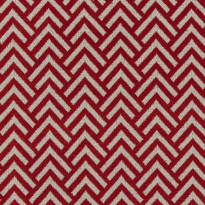 CB800-105 by Charlotte Fabric