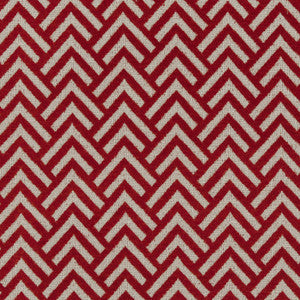 CB800-105 by Charlotte Fabric