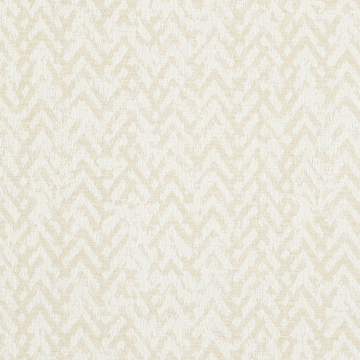 CB800-117 by Charlotte Fabric Black & White 100% Woven Polyester Asia Exceeds 30,000 Wyzenbeek Rubs (Heavy Duty) Horizontal: 7" x Vertical: 7" 54 Inches - Fabric Carolina -