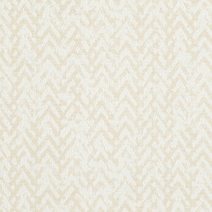 CB800-117 by Charlotte Fabric
