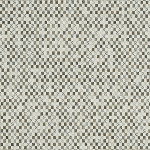 CB800-119 by Charlotte Fabric