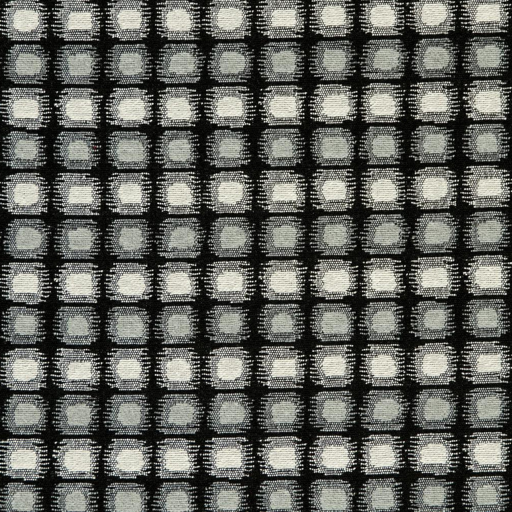 CB800-123 by Charlotte Fabric Black & White 41% Cotton, 34% Polyester, 25% Olefin Made In USA Exceeds 66,000 Wyzenbeek Rubs (Heavy Duty) Horizontal: 2" x Vertical: 1" 54 Inches - Fabric Carolina -