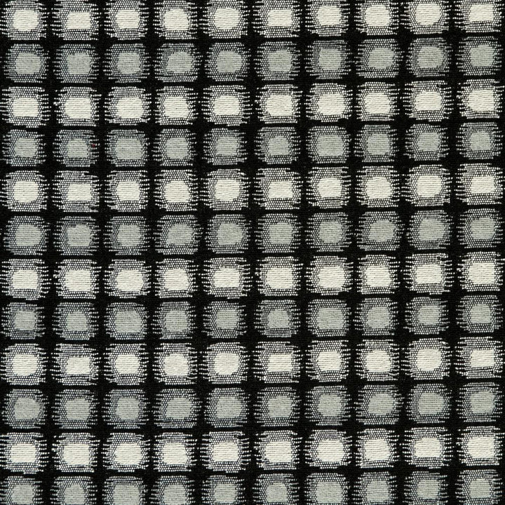 CB800-123 by Charlotte Fabric Black & White 41% Cotton, 34% Polyester, 25% Olefin Made In USA Exceeds 66,000 Wyzenbeek Rubs (Heavy Duty) Horizontal: 2" x Vertical: 1" 54 Inches - Fabric Carolina -